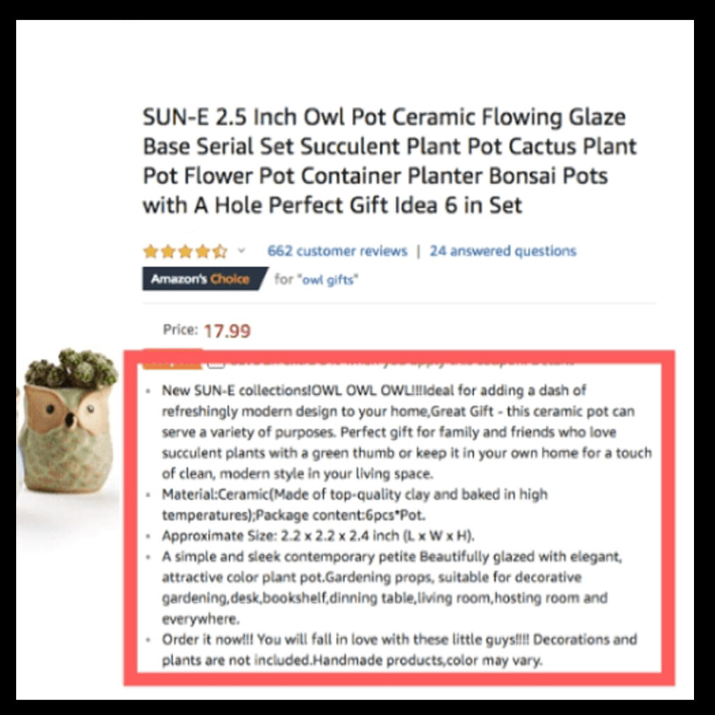 Amazon Bullet Point Writing